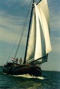 segeln auf IJsselmeer oder Wattenmeer mit der Tjalk 