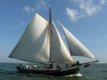 Segeln auf IJsselmeer oder Wattenmeer mit der Einmastaak Lena Adriana ab Stavoren