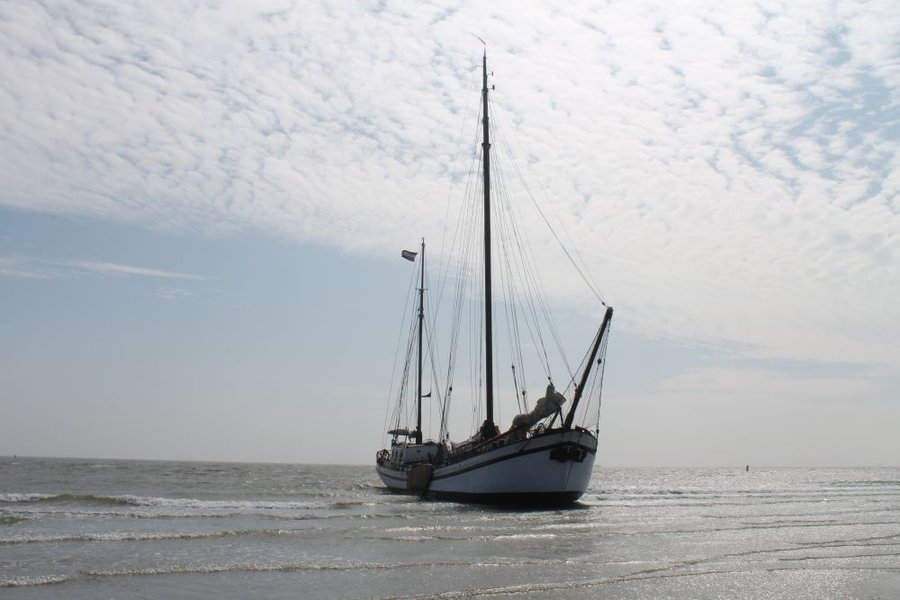 zeilen op IJsselmeer of Waddenzee met de klipper Zuid-Holland vanuit Harlingen