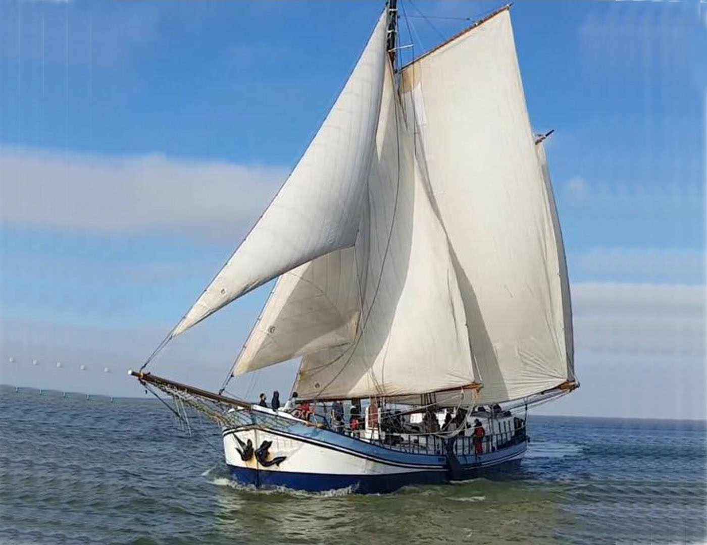 Segeln auf IJsselmeer oder Wattenmeer mit der Zweimastklipper Avanti ab Enkhuizen
