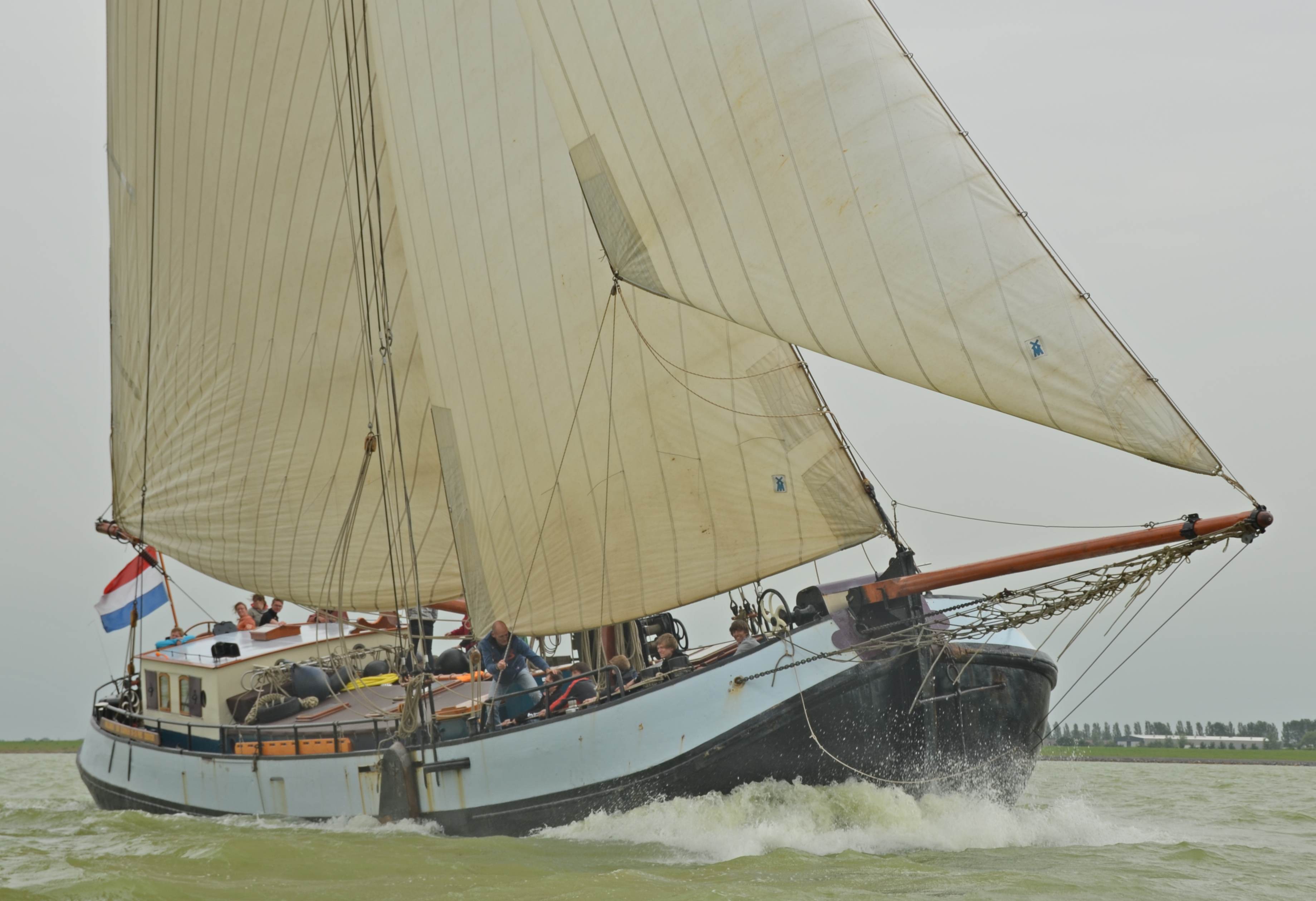 Segeln auf IJsselmeer oder Wattenmeer mit der Einmasttjalk Hollandia ab Stavoren