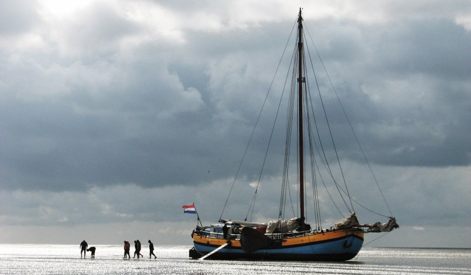 zeilen op IJsselmeer of Waddenzee met de klipper Maxima vanuit Harlingen