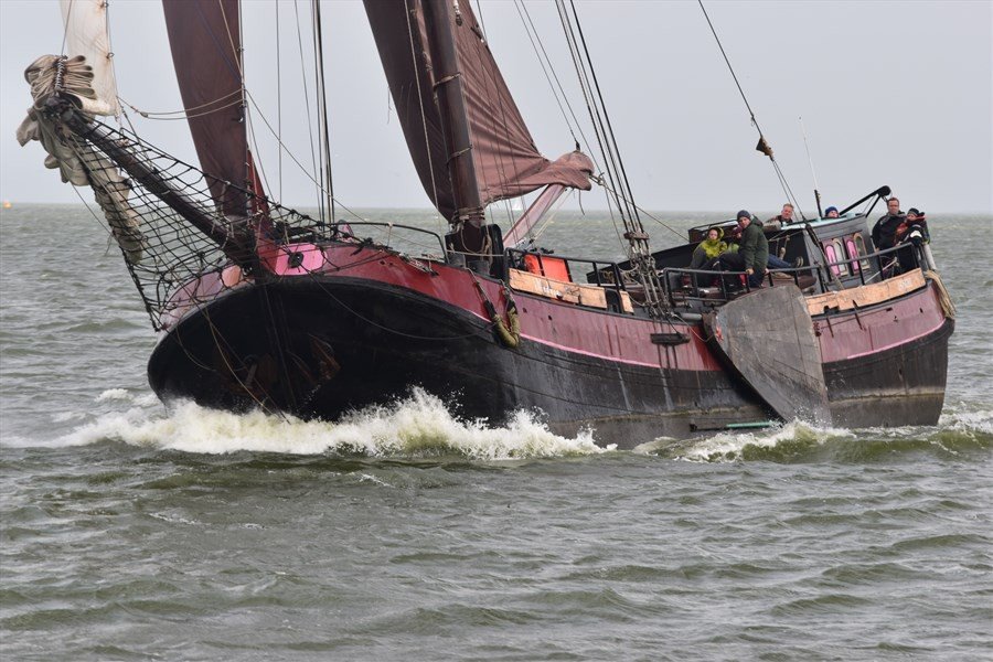 zeilen op IJsselmeer of Waddenzee met de tjalk Medusa vanuit Harlingen