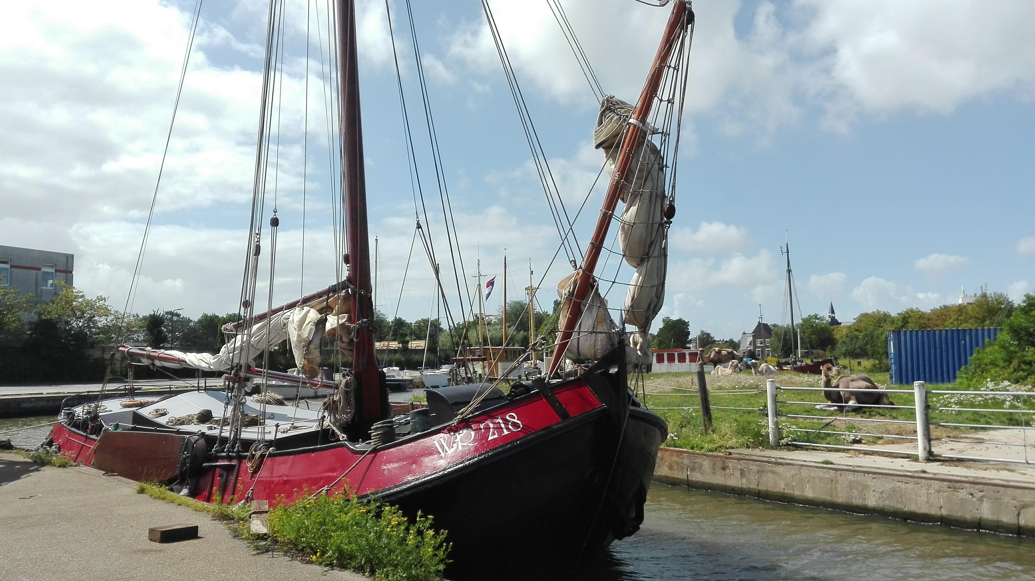 zeilen op IJsselmeer of Waddenzee met de wieringeraak Oost-Vlieland vanuit Harlingen