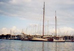 segeln auf IJsselmeer oder Wattenmeer mit der Zweimastklipper