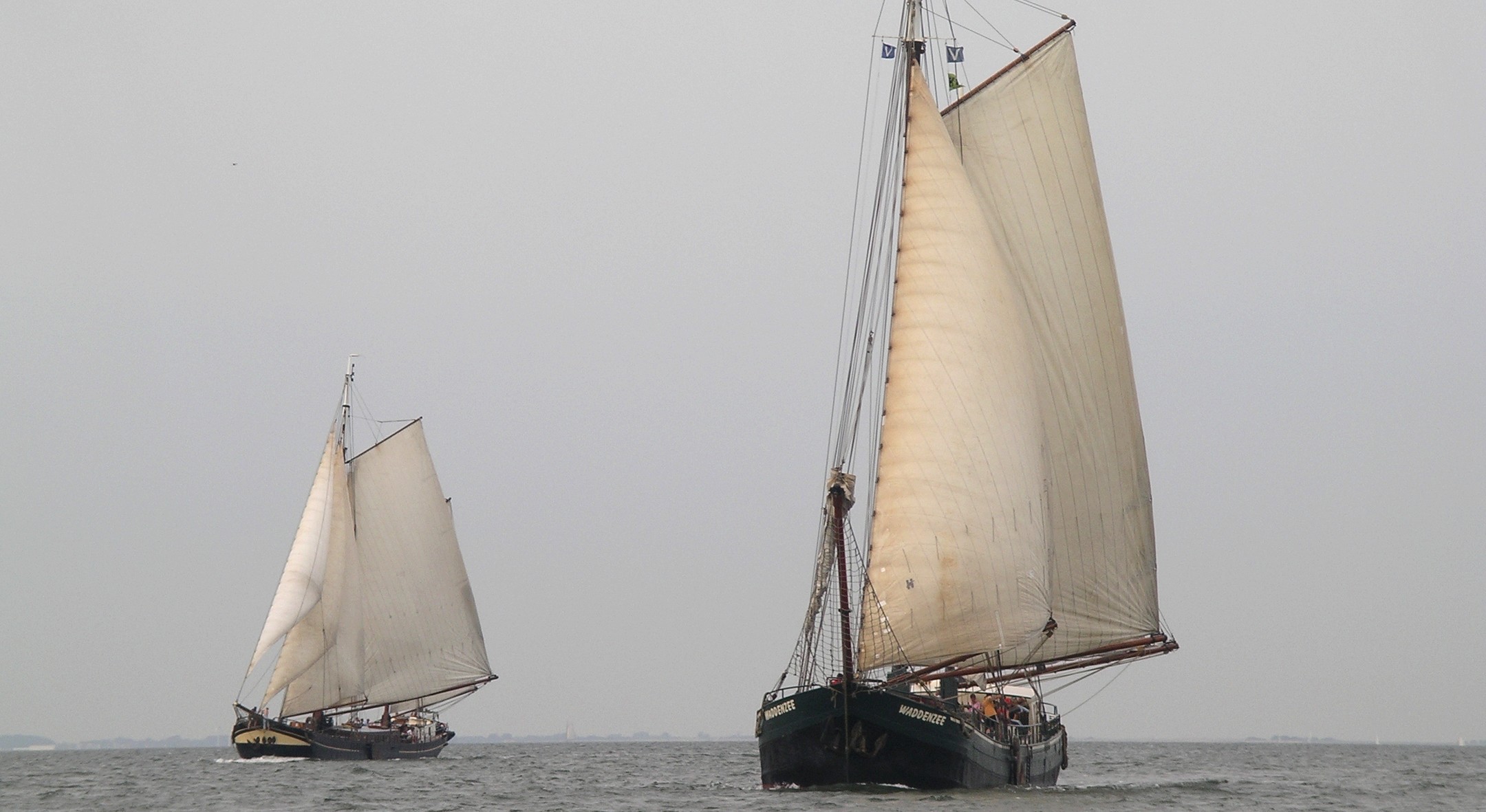 zeilen op IJsselmeer of Waddenzee met de tweemastklipper Waddenzee vanuit Harlingen