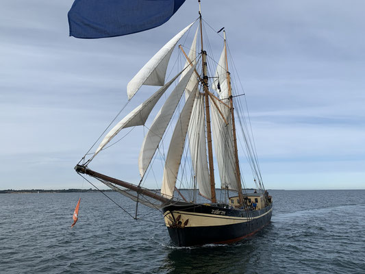 zeilen op IJsselmeer of Waddenzee met de topzeilschoener Zuiderzee vanuit Kiel