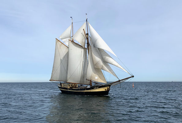 zeilen op IJsselmeer of Waddenzee met de topzeilschoener Zuiderzee vanuit Kiel